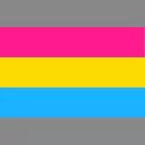 Pansexual Pride Flag