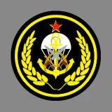 中国人民解放军海军陆战队