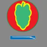 24th Infantry DIvision (with EIB aka Expert infantry badge)