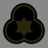 36 division (camo)