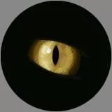 not mine, just converting