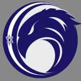 ISRAEL FALCON