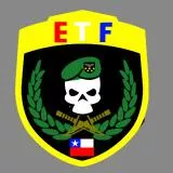 elite task force chile