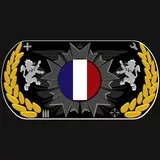 France Lion Dogtag 3D v2