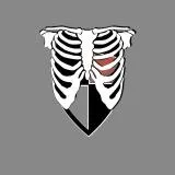 Ribcage shield