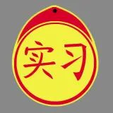 Emblem 130105