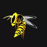 Wasp
