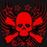 Winged Skull With Stars