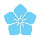 sky blue balloon flower (水色桔梗紋)