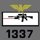 1337 assault