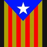 estelada groc