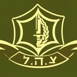 Israel Defense Forces