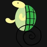 カメさんチーム