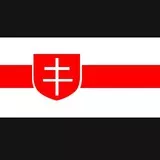 Belarus National Flag