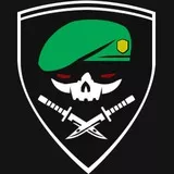 The US Army Special Forces