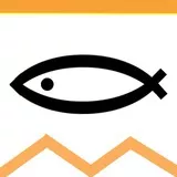 映音写実技研の魚