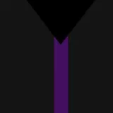 Demisexual Flag