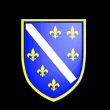 BiH Zastava refleksija