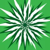 Spiked Stars green an white