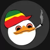 Stoned Dolan (Updated)