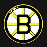 Boston Bruins Logo