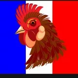 French cock