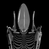 Xenomorphe Alien Variation 2