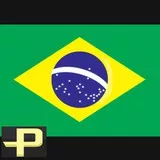 bandeira do brasil (brasileira) premium