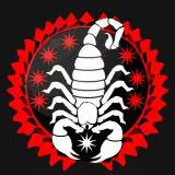 Scorpion United (Turkey)_(سپاه کژدم (ترکیه   