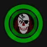 Skull Challenge Coin