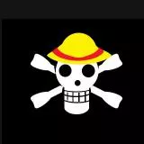 Straw hat pirates group