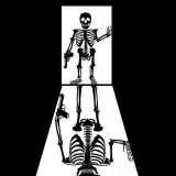 skeleton