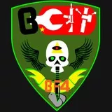 Bcitfriends Skull Emblem