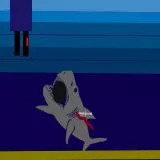 Shark 