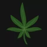 Weed Leaf
