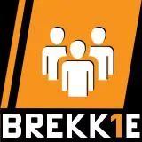 BREK's Army Platoon Logo