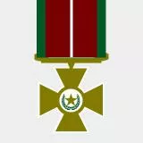 Fictitious Medal (Gold Star)