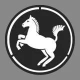 the 9th infantry division 