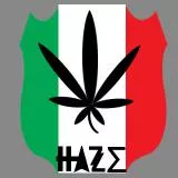haze weed