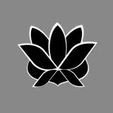 Black Lotus