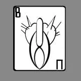 koshka Vladimira Vladimirovicha