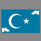 UYGHUR flag