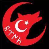 Türk Bayrağı, Göktürk - Bozkurt