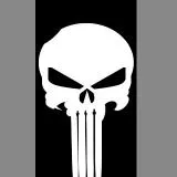 the punisher