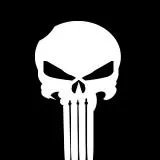 the punisher