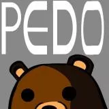 PEDO BEAR