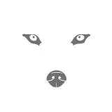 Game of Thrones - House Stark