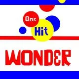 One Hit Wonder