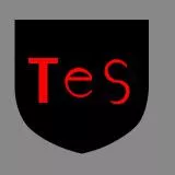 TeS(Example)