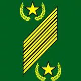 49th Command Sergeant Major